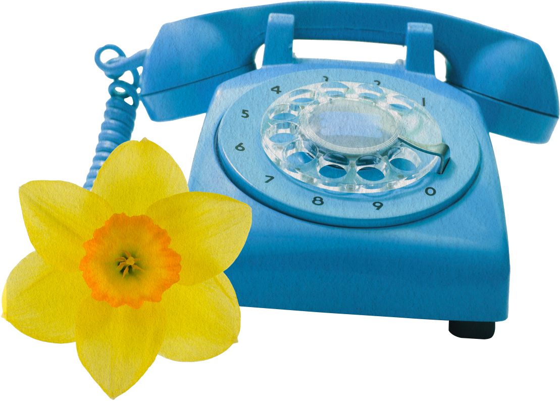 fleur et telephone